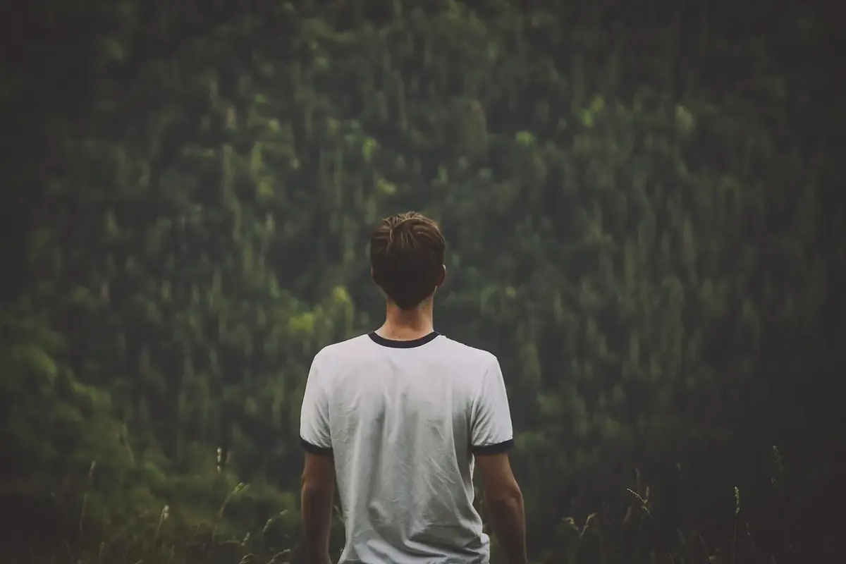 A man seen from behind in a white tee with dark ribbed trim, looking out over a steep green forest